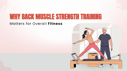 Back Muscle Strength Training 
